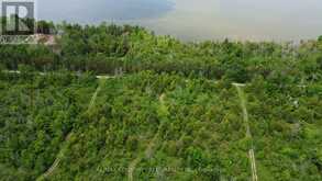 LT25 RAMBLEWOOD TRAIL | Kawartha Lakes Ontario | Slide Image Thirteen