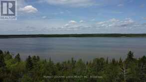 LT25 RAMBLEWOOD TRAIL | Kawartha Lakes Ontario | Slide Image Sixteen