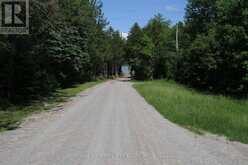 LT25 RAMBLEWOOD TRAIL | Kawartha Lakes Ontario | Slide Image Eighteen