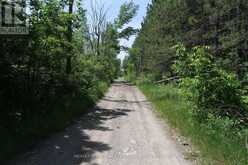 LT25 RAMBLEWOOD TRAIL | Kawartha Lakes Ontario | Slide Image Twenty-three
