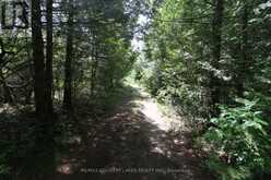 LT25 RAMBLEWOOD TRAIL | Kawartha Lakes Ontario | Slide Image Twenty-five