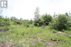 LT25 RAMBLEWOOD TRAIL | Kawartha Lakes Ontario | Slide Image Eight