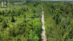 LT25 RAMBLEWOOD TRAIL | Kawartha Lakes Ontario | Slide Image Nine