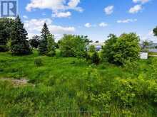 1 EARL STREET | Alnwick-Haldimand Ontario | Slide Image Eight