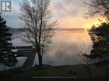 1291 BRACKENRIG ROAD | Port Carling Ontario | Slide Image Forty-eight