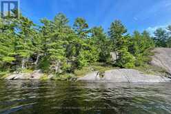 LOTS 1-5 KAHSHE LAKE | Gravenhurst Ontario | Slide Image Ten