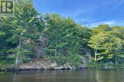 LOTS 1-5 KAHSHE LAKE | Gravenhurst Ontario | Slide Image Sixteen