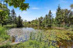 10 SPRINGHOME ROAD | Oro-Medonte Ontario | Slide Image Forty-four