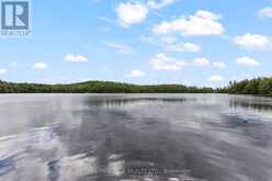 1160 MINNOW DRIVE | Haliburton Ontario | Slide Image Forty-five