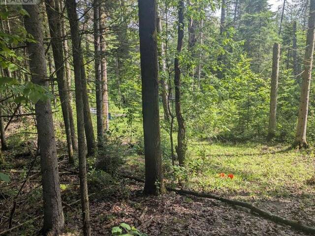0 HIGHWAY 503 HIGHWAY Haliburton Ontario, K0M 1S0 - Vacant Land For Sale