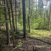 0 HIGHWAY 503 HIGHWAY | Haliburton Ontario | Slide Image One