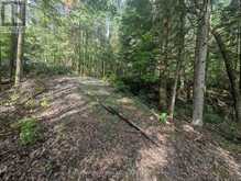 0 HIGHWAY 503 HIGHWAY | Haliburton Ontario | Slide Image Three