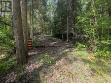 0 HIGHWAY 503 HIGHWAY | Haliburton Ontario | Slide Image Four