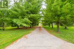 1041 15 SIDE ROAD | New Tecumseth Ontario | Slide Image Four