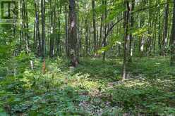 418 CONCESSION 13 ROAD E | Penetanguishene Ontario | Slide Image Thirteen
