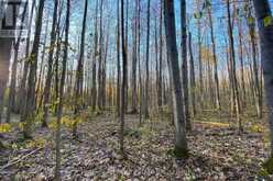 418 CONCESSION 13 ROAD E | Penetanguishene Ontario | Slide Image Sixteen