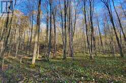 418 CONCESSION 13 ROAD E | Penetanguishene Ontario | Slide Image Nineteen