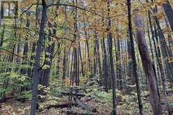418 CONCESSION 13 ROAD E | Penetanguishene Ontario | Slide Image Nine