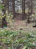 14070 DUBLIN LINE | Halton Hills Ontario | Slide Image Nineteen