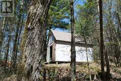 1800 BEAR CAVE ROAD | Rosseau Ontario | Slide Image Two