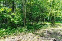 LOT 1 TORPITT ROAD | Severn Ontario | Slide Image Twelve