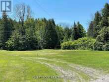 247 DUNNETTE LANDING ROAD | Alnwick-Haldimand Ontario | Slide Image Twenty