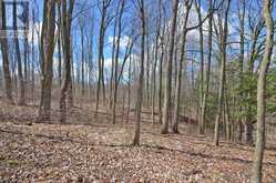 6280 COUNTY RD 15 | Adjala-Tosorontio Ontario | Slide Image Forty-two