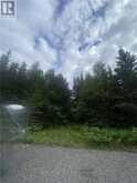 LOT 1 ON-17 / TRANS CANADA HIGHWAY | Bruce Mines Ontario | Slide Image Eight