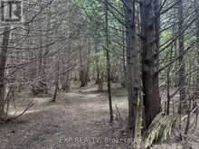 444425 CONCESSION ROAD 8 | Markdale Ontario | Slide Image Thirty-two