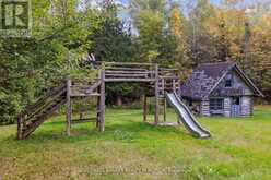 504 BIRCH POINT ROAD | Kawartha Lakes Ontario | Slide Image Five