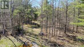 2503 SOUTHWOOD ROAD | Gravenhurst Ontario | Slide Image Two