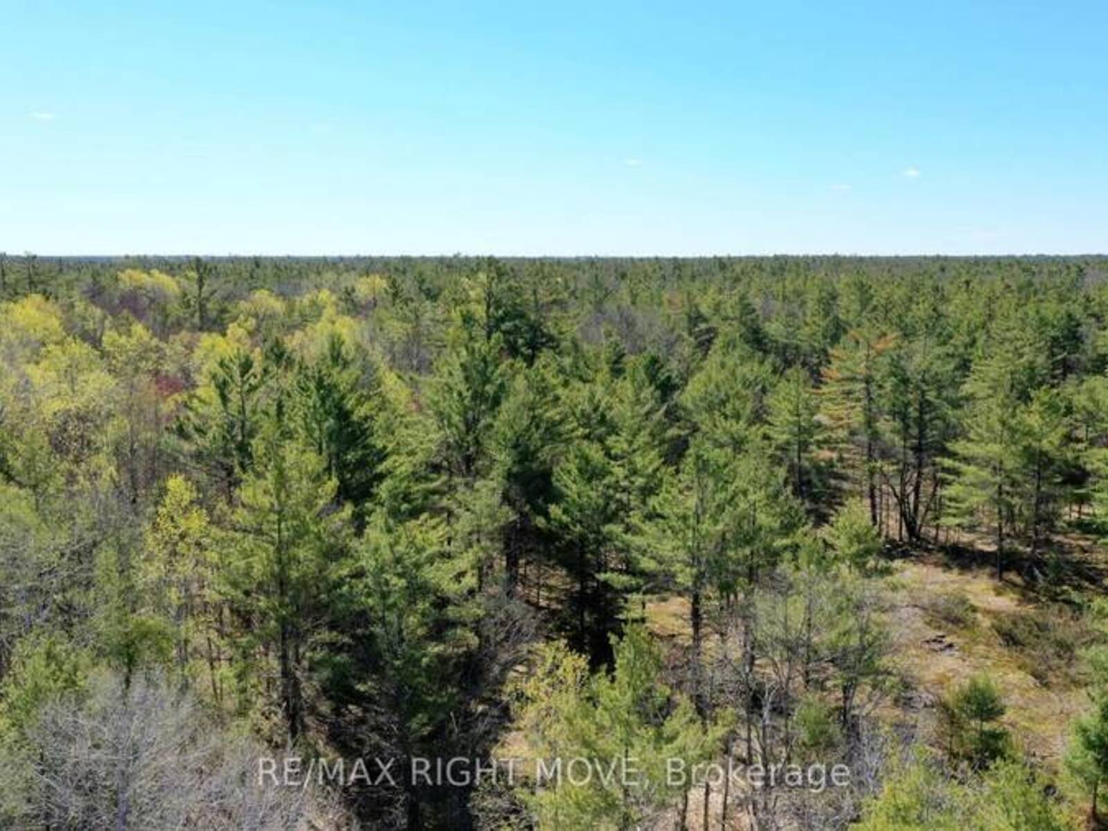 2503 SOUTHWOOD ROAD, Gravenhurst, Ontario P0E 1G0