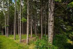 24 BUENA VISTA DRIVE | Mono Ontario | Slide Image Nine