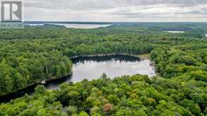 35 LITTLE LONG LAKE ROAD | Rosseau Ontario | Slide Image Twelve