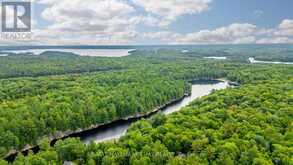 35 LITTLE LONG LAKE ROAD | Rosseau Ontario | Slide Image Five