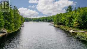 35 LITTLE LONG LAKE ROAD | Rosseau Ontario | Slide Image Three