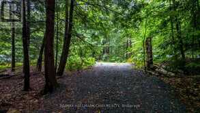 35 LITTLE LONG LAKE ROAD | Rosseau Ontario | Slide Image Nine