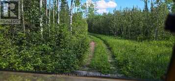 1527 HIGHWAY 11 W | Cochrane Ontario | Slide Image Forty