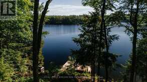 22 LONG AND WINDING ROAD | Seguin Ontario | Slide Image Forty