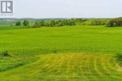 586219 COUNTY ROAD 17 | Mulmur Ontario | Slide Image Thirty