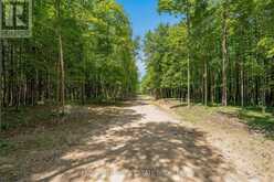 8418 TOSORONTIO 20TH SIDE ROAD | Adjala-Tosorontio Ontario | Slide Image Forty-four