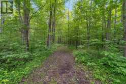8418 TOSORONTIO 20TH SIDE ROAD | Adjala-Tosorontio Ontario | Slide Image Forty-five