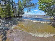 101 CLOVELLY COVE | Georgina Ontario | Slide Image Thirty-four