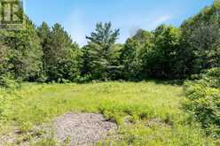 364 CHAMPLAIN ROAD | Penetanguishene Ontario | Slide Image Five