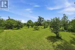 511 COUNTY ROAD 8 | Prince Edward Ontario | Slide Image Thirty-eight