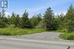 685 COUNTY 8 ROAD | Prince Edward Ontario | Slide Image Twelve