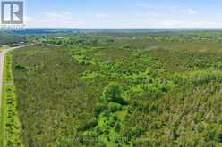 685 COUNTY 8 ROAD | Prince Edward Ontario | Slide Image Fifteen