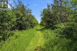 685 COUNTY 8 ROAD | Prince Edward Ontario | Slide Image Nine