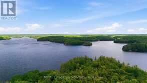 200 BLACKSTONE LAKE WATER | Carling Ontario | Slide Image Forty-two