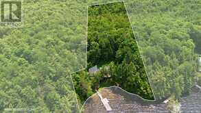 200 BLACKSTONE LAKE WATER | Carling Ontario | Slide Image Forty-three